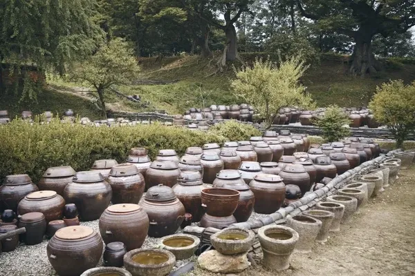 장독대