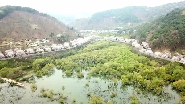 중촌제 출사지 사진 3