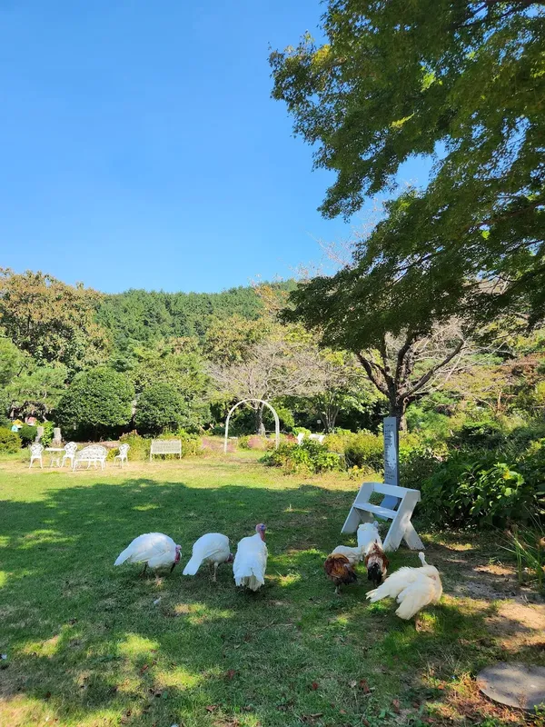 잔디밭