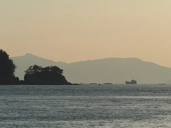 바다