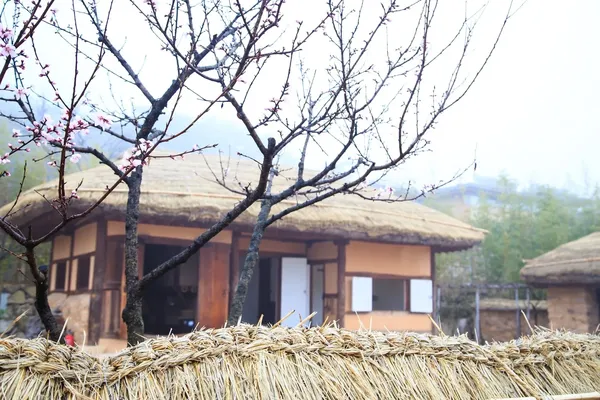 초가집