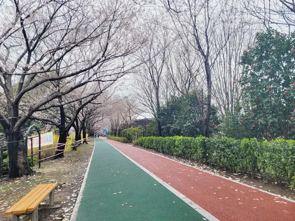 삼락생태공원(연꽃시즌용) 출사지 사진 10