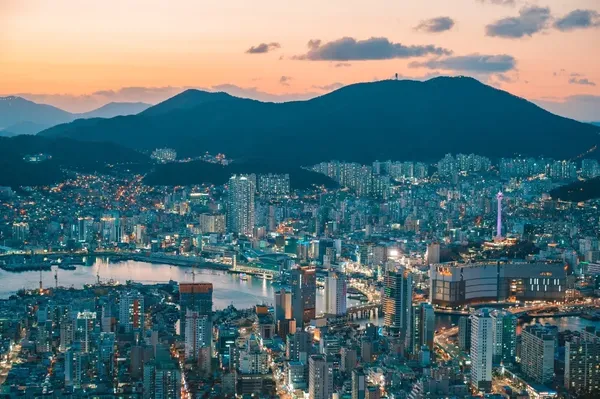 도심