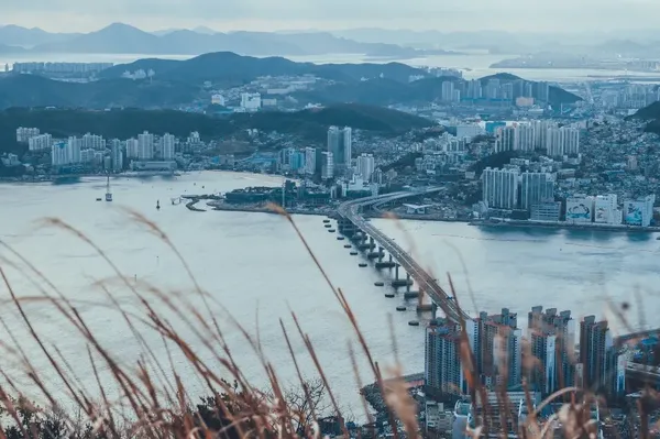 해상교량