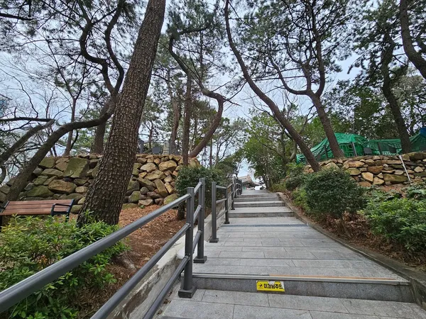 부산진성 (자성대왜성) 출사지 사진 7