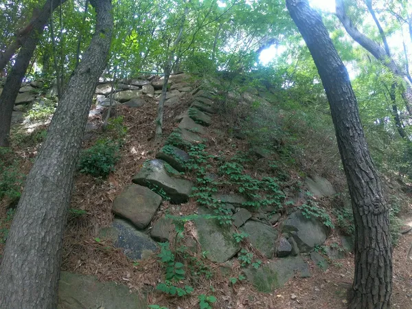 성벽