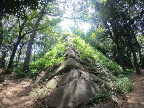부산진성 (자성대왜성) 출사지 사진 10