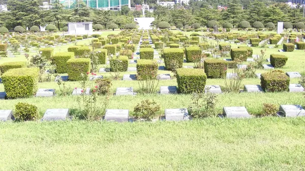 유엔기념공원 출사지 사진 9