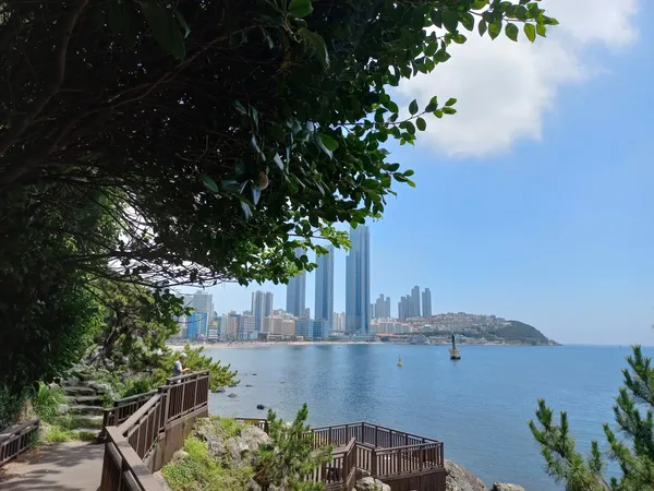 바다