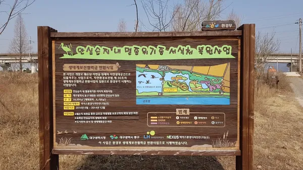 안심습지(安心濕地) 출사지 사진 2