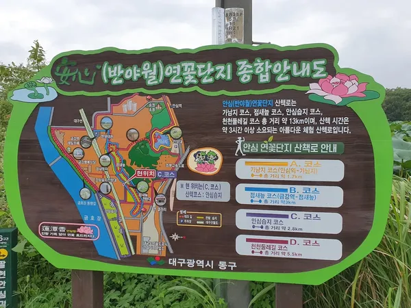 안심습지(安心濕地) 출사지 사진 10