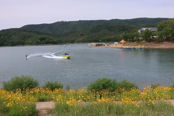 호수