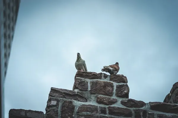 경상감영공원 출사지 사진 4
