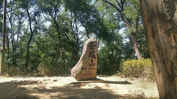 두류공원 출사지 사진 2
