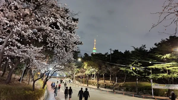 두류공원 출사지 사진 10