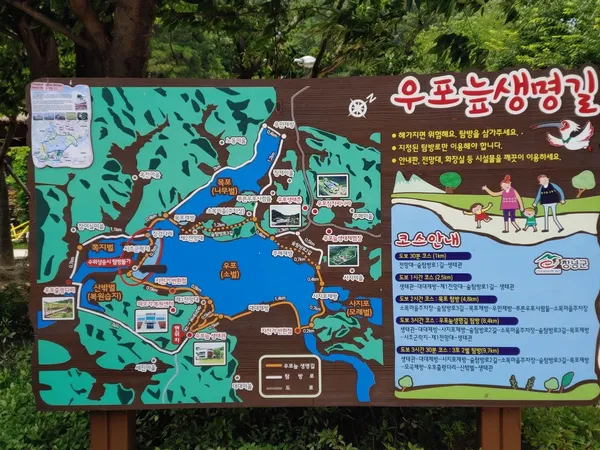 우포늪 출사지 사진 8