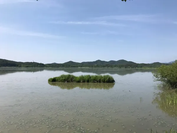 저수지