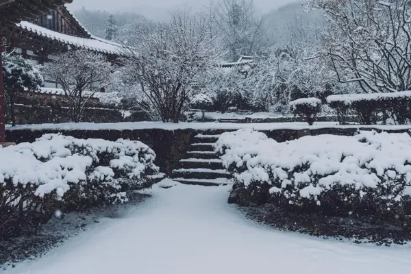 사찰