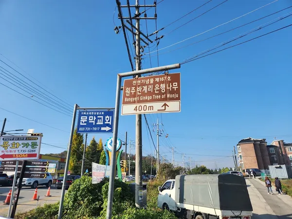 반계리 은행나무 출사지 사진 9