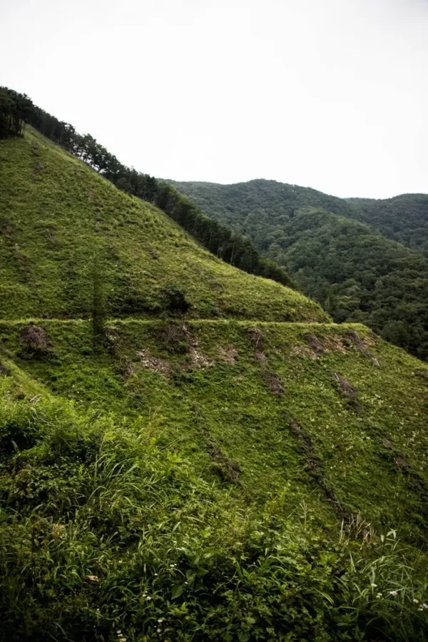 산등성이