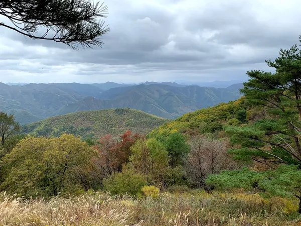 산 능선