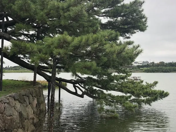 수산저수지 출사지 사진 7