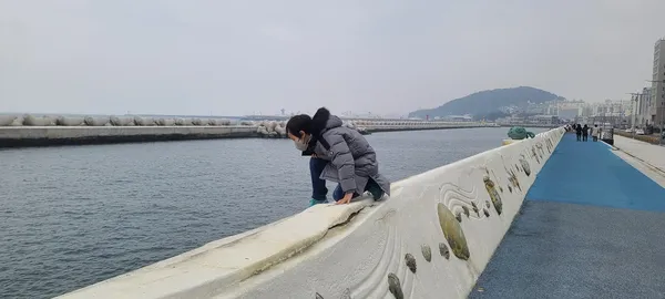 탑동공원 출사지 사진 10