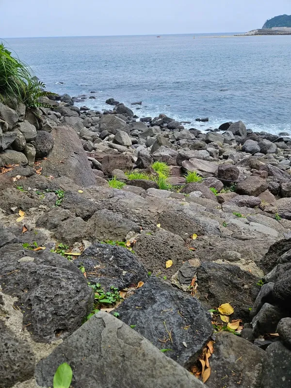 바위 해변