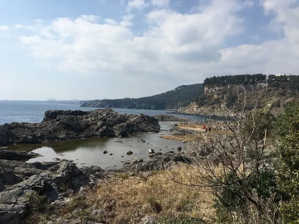 암석 해안