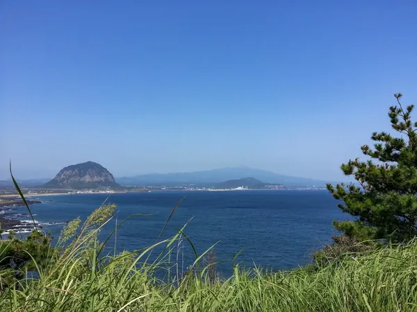 바다