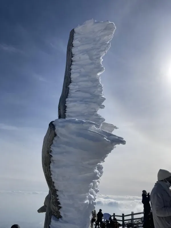 한라산 출사지 사진 2