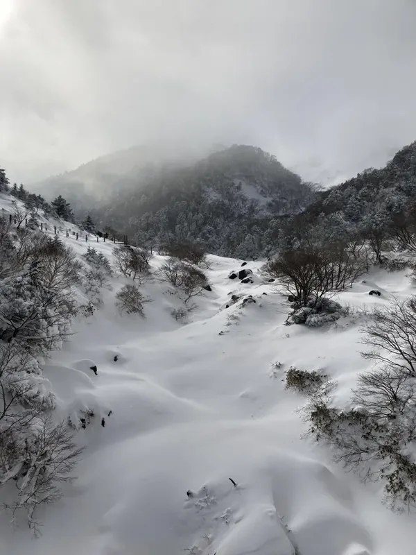 한라산 출사지 사진 3