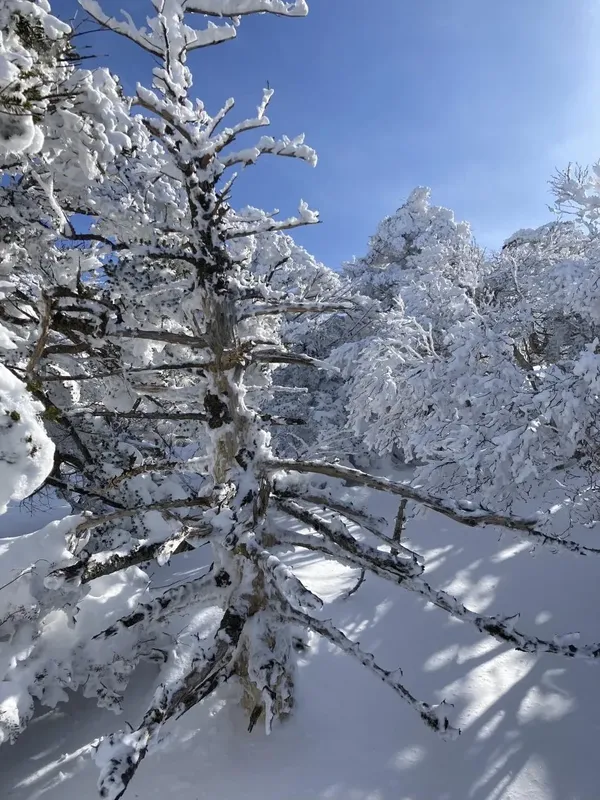 한라산 출사지 사진 4