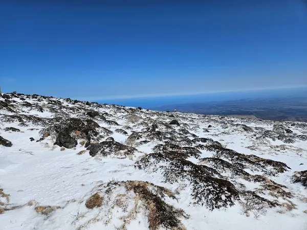 한라산 출사지 사진 10