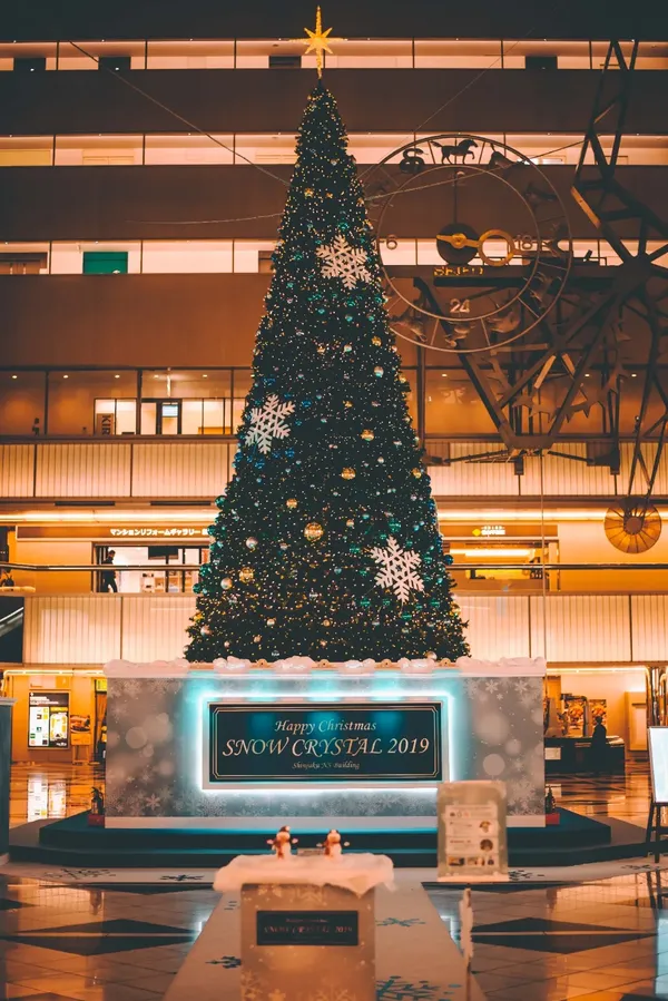 신주쿠 NS빌딩 출사지 사진