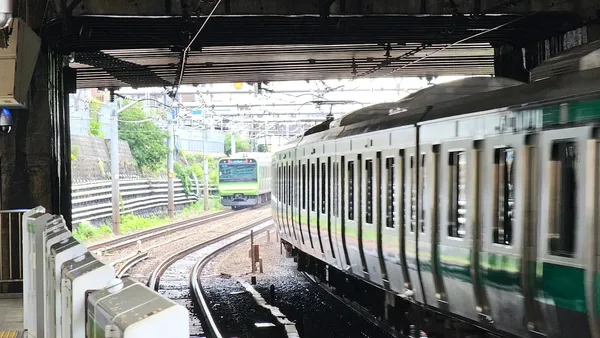 메지로역 출사지 사진 8
