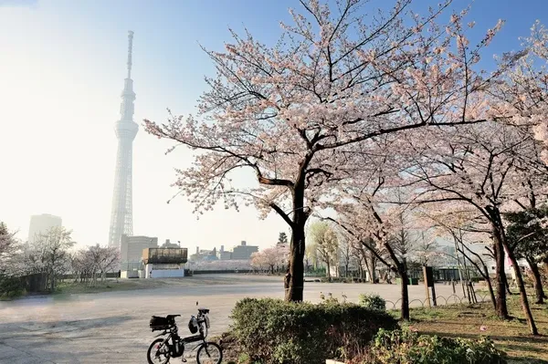 산야보리 공원 출사지 사진 5