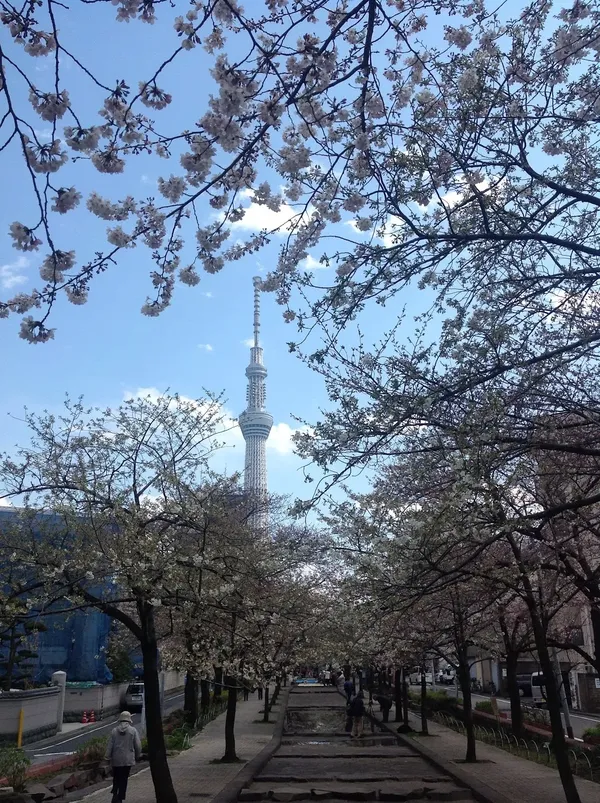 산야보리 공원 출사지 사진 7