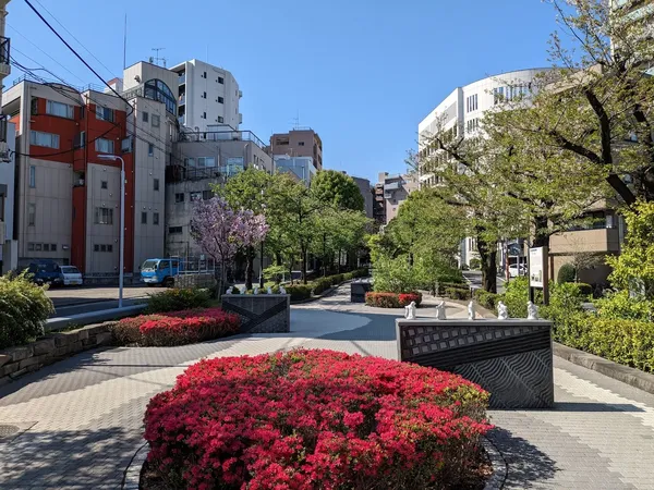 산야보리 공원 출사지 사진 10