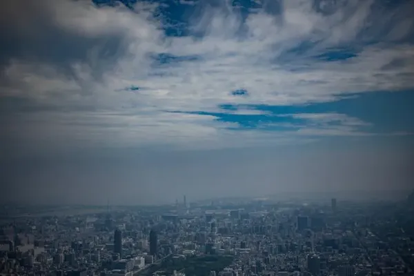 스카이트리 출사지 사진 10