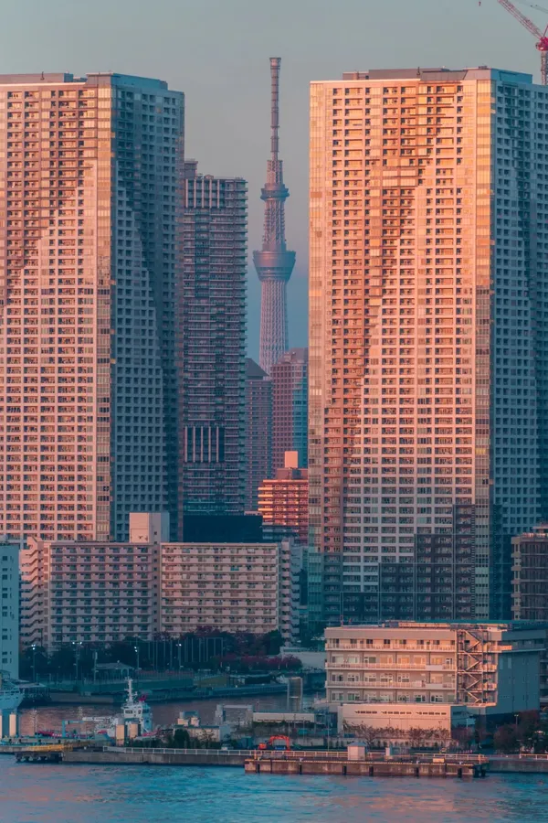 레인보우 브릿지 스카이트리 출사지 사진 2