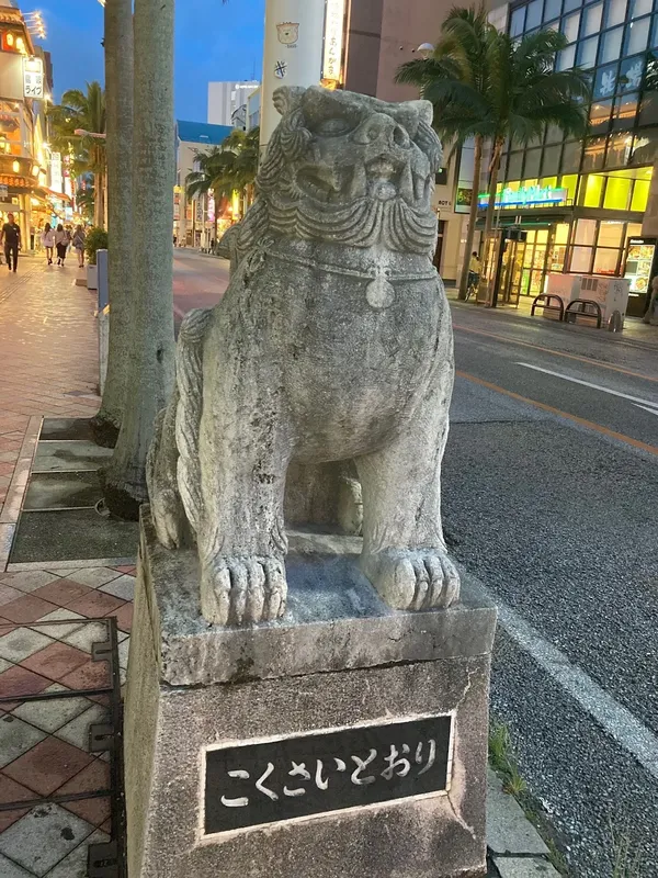 국제 거리 출사지 사진 4