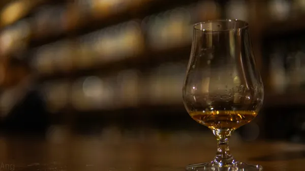 바 키친 출사지 사진 6