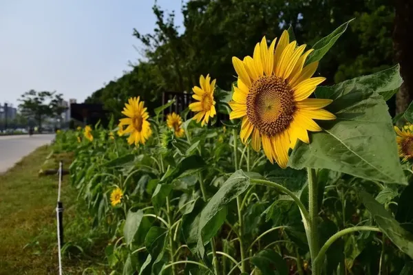 오호리 공원 출사지 사진 10