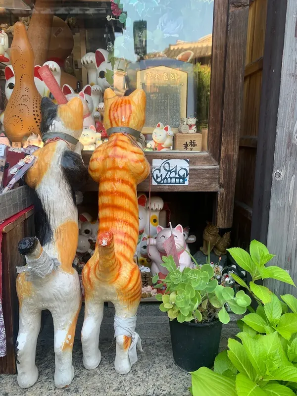 산넨자카 출사지 사진 6