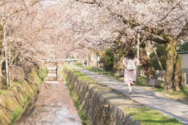 철학의 길 출사지 사진 4