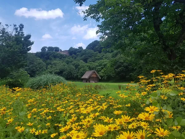 [기후]시라카와고