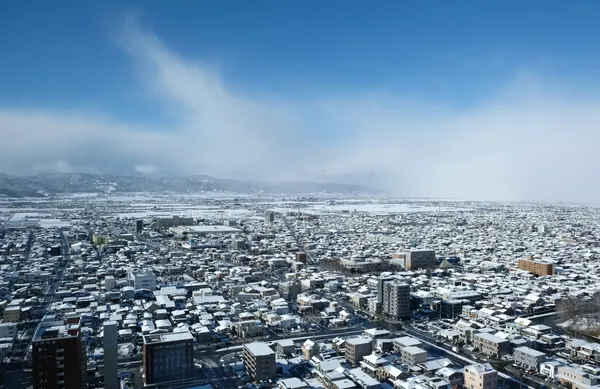 kajo central 출사지 사진 2