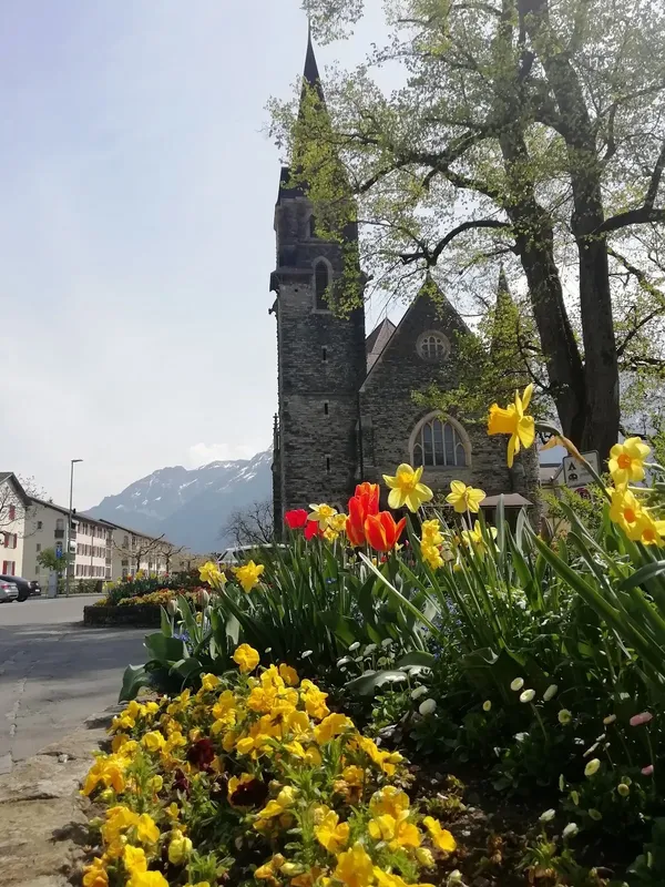 Interlaken 출사지 사진 6