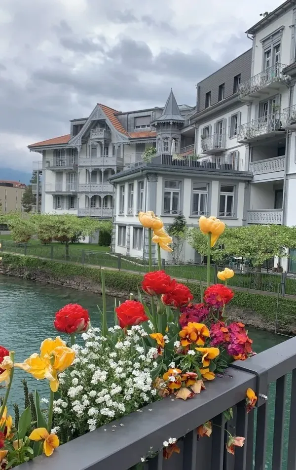 Interlaken 출사지 사진 7
